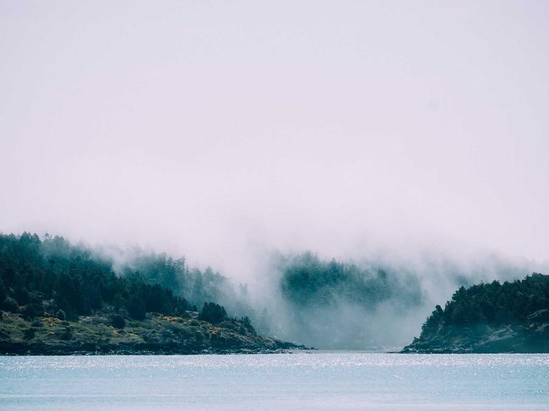 sudoku zen mode screenshot 3